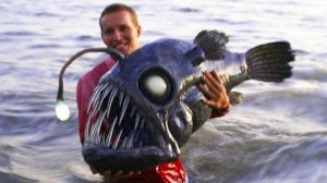 Самые Жуткие Существа Обнаруженные в Марианской Впадине