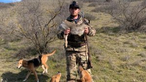 Охота на зайца