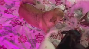 Доброго всем утречка и чудесного начала дня.