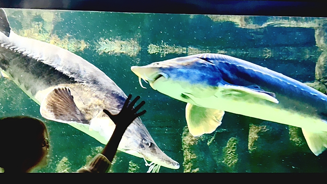 Москвариум. Часть 8