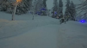 полная версия (Таинственный Лес) 2024