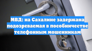 МВД: на Сахалине задержана подозреваемая в пособничестве телефонным мошенникам