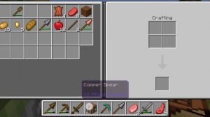 I play Minecraft bedrock edition