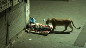 Это действительно было снято на камеру.