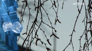 В ближайшие 7 дней в Кузбассе максимальная температура составит +2°С