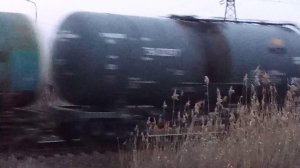 VID_20260302_175639.mp4