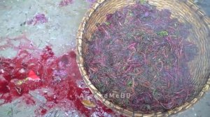 Праздничное угощение в Индии Инь Тсаи - 紅莧菜 Китайский Спаржевый Амарант