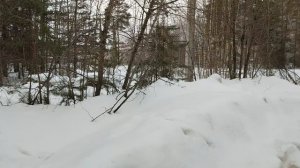 Дорога к ЦРБ.