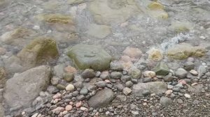 ЧЁРНОЕ МОРЕ  В ПОИСКАХ МАЗУТА