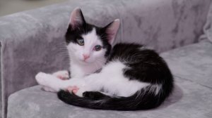 «Будущее вместе - Старт в профессию». Новая мебель для Виктории - участницы проекта