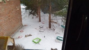 вкусное яблоко