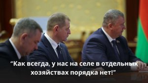 Лукашенко: Подмели, выстроили, сделали! Руководителю показал – распишись! Нужен контроль!