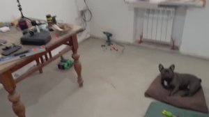 Жизнь вне орхидей- хотел сделать в доме на Юге на кухне по ОДНОМУ но подумал и сделал ПО ДРУГОМУ