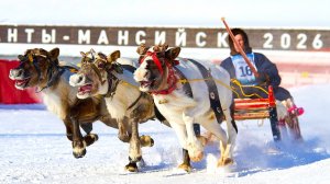 «Меховые» гонки на северных «спорткарах»: в Ханты-Мансийске определили лучших оленеводов Югры