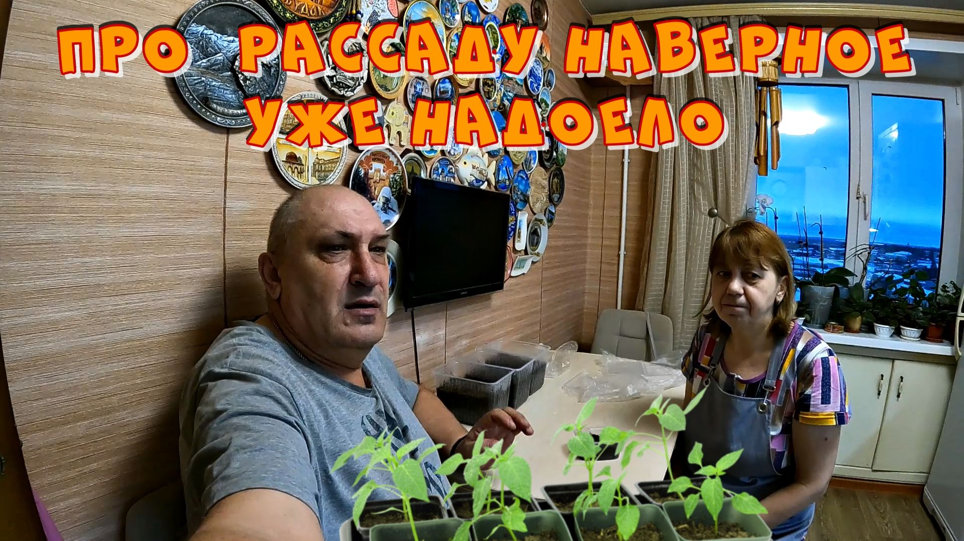 ПРО РАССАДУ НАВЕРНОЕ УЖЕ НАДОЕЛО