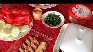 Домой в ПИТЕР по Быстрому! ЖИВОТНЫЕ Ждут! Для Тех кто Не Видел!