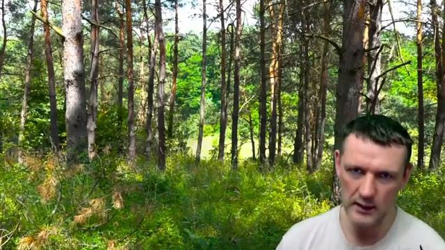 Очищение тела от негативных энергий. Матрицы Гаряева