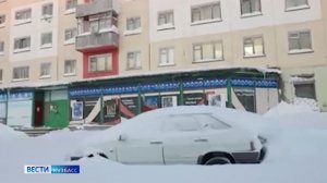 Зумеры начали скупать дачи на Крайнем Севере