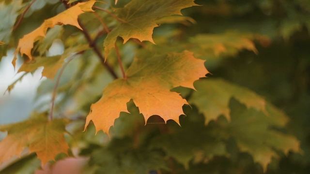 Природа смотреть онлайн