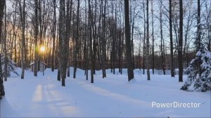 Мои вышивальные будни с 19 по 28 февраля 2026 года / вышивка крестиком / алмазная мозаика