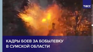 Кадры боев за Бобылевку в Сумской области