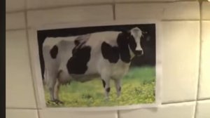 How To Get Unlimited Phone Battery Power