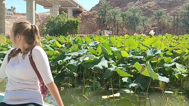 Переправляемся))