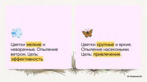 Биология 7 класс параграф 14 КЛАСС ОДНОДОЛЬНЫЕ. СЕМЕЙСТВА ЛИЛЕЙНЫЕ И ЗЛАКИ (МЯТЛИКОВЫЕ)