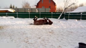 А вы принимаете снежные ванны?