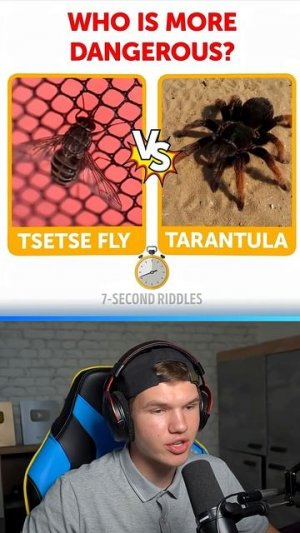 УГАДАЙ КТО БОЛЕЕ ОПАСЕН !😳 #shorts #шортс #челлендж #проверка #тест #интересно #прикол #мем #реакци