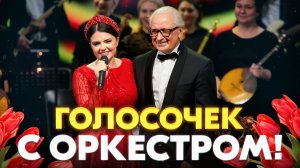 МЕЧТА СБЫЛАСЬ! ПРЕМЬЕРА МОЕЙ ПЕСНИ С ОРКЕСТРОМ - ГОЛОСОЧЕК ☀️ Арина Кузнецова и Мастера России