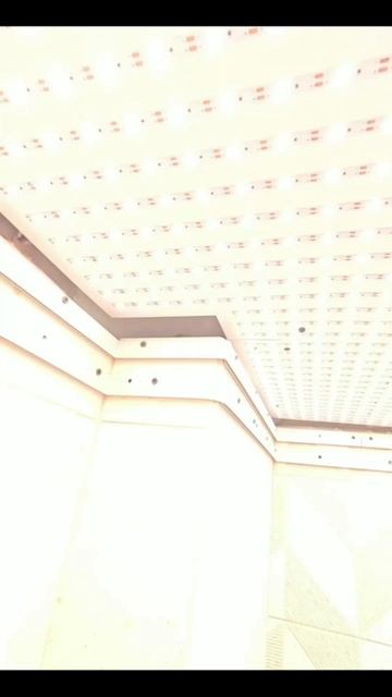 натяжной потолок с полным засветом.