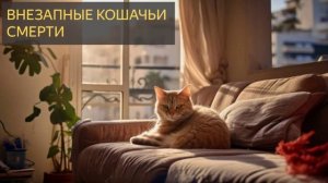 Внезапные кошачьи смерти (Странная история, домашние животные)