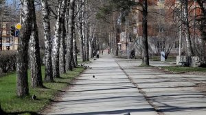 Апрель в Академгородке