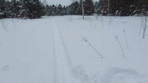 Катаемся с горок. Тестируем лыжи. Гуляем по лесу (01.03.2026г)