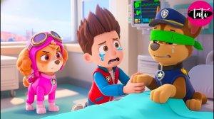 Щенячий патруль и Маршалл. Залипательное видео. Мультфильм для детей и малышей. Анимация 325