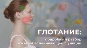 Поговорим о глотании