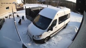 В Нерюнгри стая бродячих собак 25 февраля напала на сотрудницу гостиницы; пострадавшей потребовалась