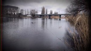 Новая Усмань, Горенские Выселки Рыбалка 2026