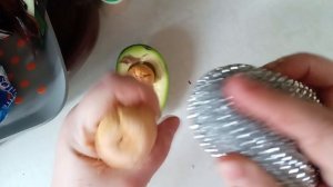 Как вырастить авокадо 1000020606.mp4