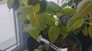 Ну сезон пошёл