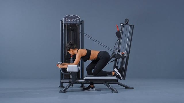 PANATTA Fit Evo 1FE094 Master Gluteus