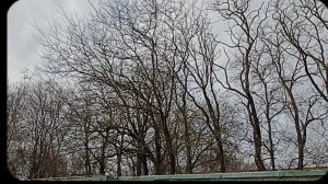 Деревенские будни//Утро на подворье//Пеку творожное  печенье