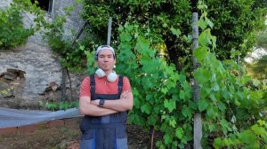 Навожу порядок- убираю заросли на участке в Португалии. Выпуск 5