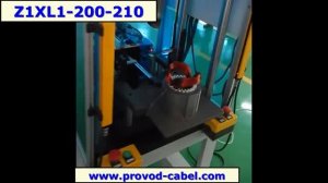 Z1XL1-200/210 Станок формовки статора