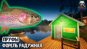 Они обожают холодную погоду #рр4