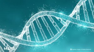 Оксидативный стресс