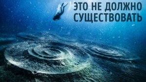 1 300 идеальных кругов на дне моря 🌊 Кто их создал?