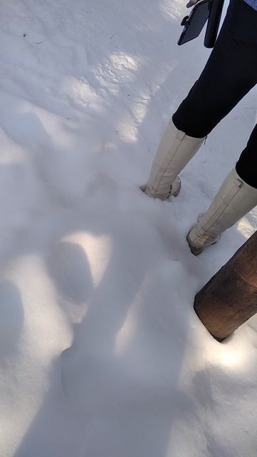 VID_20260115_135711.mp4