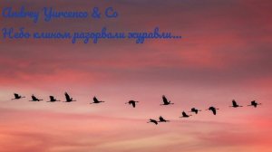 Небо клином разорвали журавли.